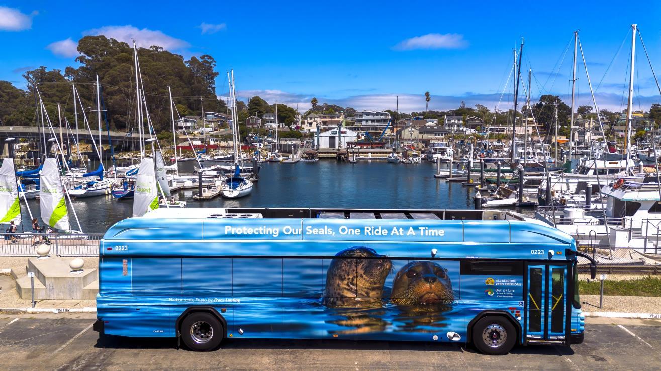 Image of bus with otter wrapping